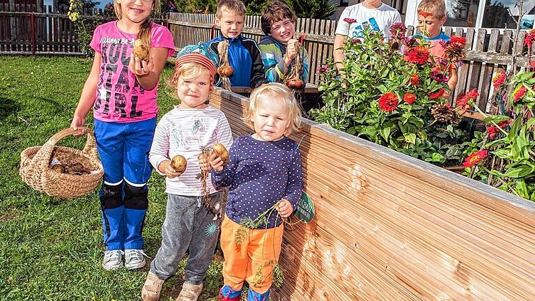 Reiche Ernte als Lohn       -  (asp)   Das &bdquo;Junge Gemüse&ldquo; erntete Rüben, Kartoffeln, Zwiebeln und Kopfsalat. Im Frühjahr hatten die Kinder von Mitgliedern des Obst-und Gartenbauvereines ein Hochbeet gebaut. Vorsitzende Antonia Heinig war mit der Aktion zufrieden.