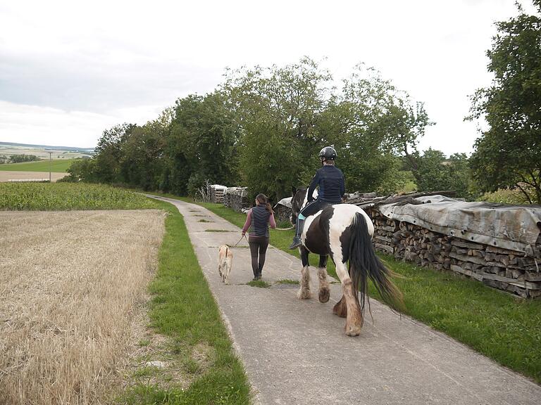 Nach der Einheit auf dem Reitplatz geht es für Hannah und Guinness zusammen mit Reittherapeutin Anna Drescher und Labrador Nala noch zu einem kurzen Spaziergang ins Gelände.