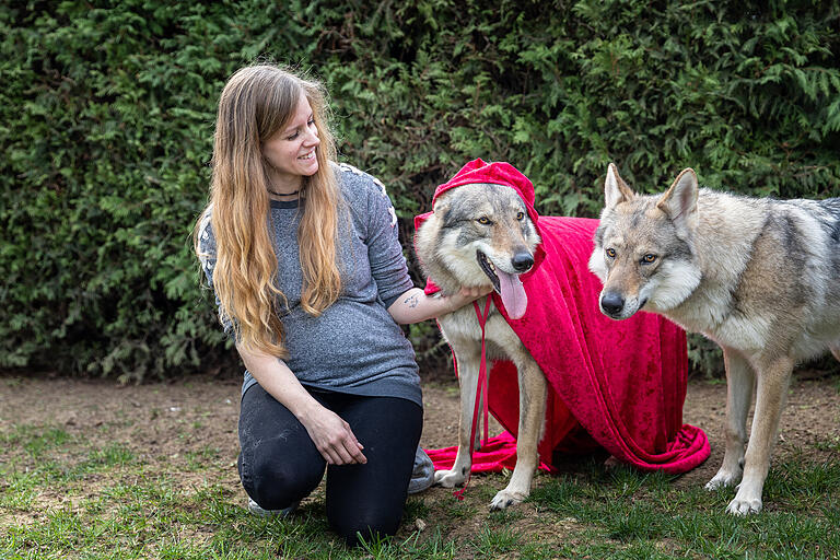 Zu Besuch bei Laura Dürrlauf aus Estenfeld mit ihren zwei Wolfhunden Avery (rechts) und Rosalie (links). Mit den beiden wird sie regelmäßig für Fotoshootings gebucht.