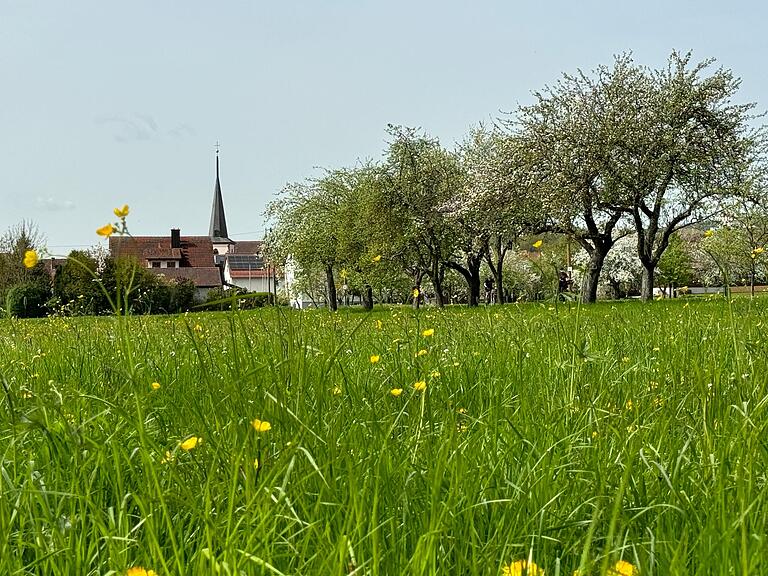 Eine schöne Obstbaum-Allee führt von Norden nach Obererthal. Eine schöne Obstbaum-Allee führt von Norden nach Obererthal.