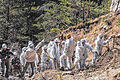 Die Suche geht weiter: Helfer an der Absturzstelle bergen Trümmerteile des Germanwings-Airbus.