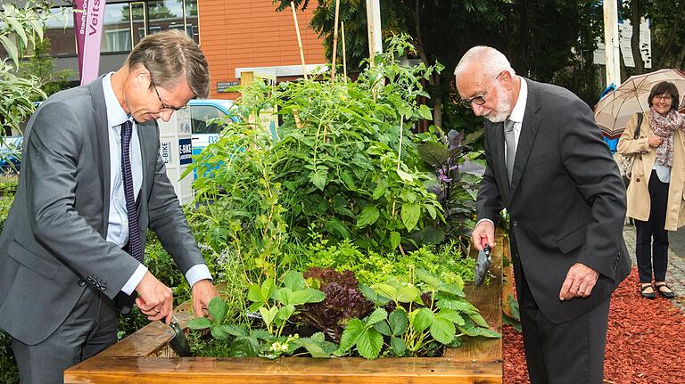 Selbst Hand anlegen: Oberbürgermeister Sebastian Sebastian Remelé (links) und LWG-Präsident Andreas Maier bepflanzen ein Hochbeet. Selbst Hand anlegen: Oberbürgermeister Sebastian Sebastian Remelé (links) und LWG-Präsident Andreas Maier bepflanzen ein Hochbeet.