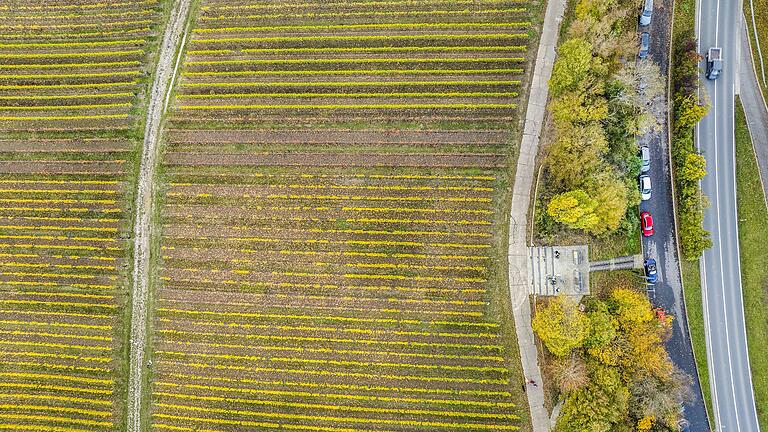 Die neue Grundsteuer betrifft auch die Eigentümerinnen und Eigentümer von Weinbergen. Auf dem Archivbild sind diese aus der Vogelperspektive zu sehen, neben der Volkacher terroir-f-Aussichtsplattform bei Escherndorf.