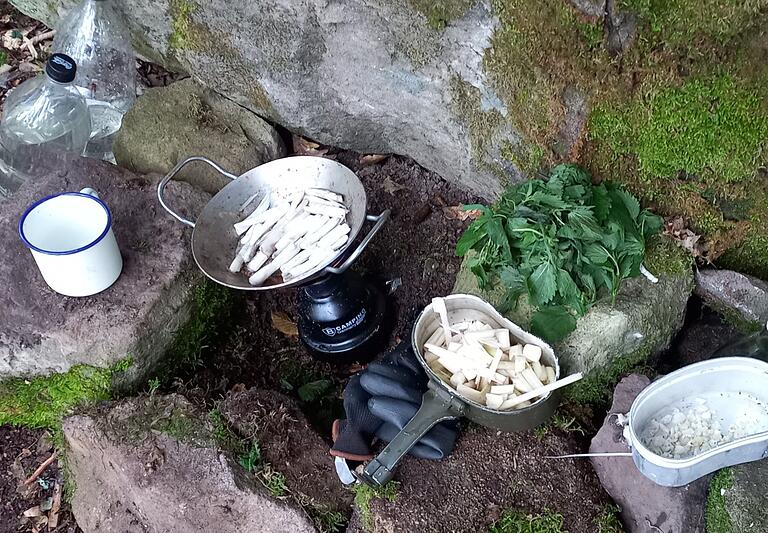 Die Rhizome der Rohrkolben (links) kocht Betz, aus dem Rest machte er einen Salat (rechts). Die Rhizome der Rohrkolben (links) kocht Betz, aus dem Rest machte er einen Salat (rechts).