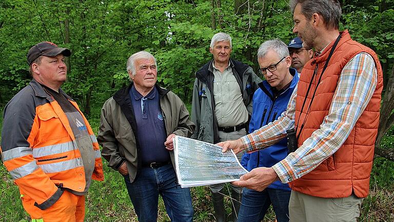 Ortstermin im schwächelnden Hörnauer Wald mit Forstdirektor Stephan Thierfelder (rechts) und Revierförster Gerald Eser (Mitte hinten) vom Amt für Ernährung, Landwirtschaft und Forsten, Frankenwinheims Bürgermeister Herbert Fröhlich, den Gemeindearbeitern Arnd Bauer und Martin Pfannes sowie dem Frankenwinheimer Waldbeauftragten und Privatwaldbesitzer in der Hörnau, Manfred Kirchner. Ortstermin im schwächelnden Hörnauer Wald mit Forstdirektor Stephan Thierfelder (rechts) und Revierförster Gerald Eser (Mitte hinten) vom Amt für Ernährung, Landwirtschaft und Forsten, Frankenwinheims Bürgermeister Herbert Fröhlich, den Gemeindearbeitern Arnd Bauer und Martin Pfannes sowie dem Frankenwinheimer Waldbeauftragten und Privatwaldbesitzer in der Hörnau, Manfred Kirchner.