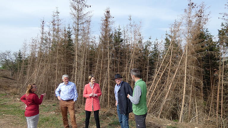 Vertreter von Waldwirtschaft und Politik machten sich bei Bundorf ein Bild von den Schäden im Wald.