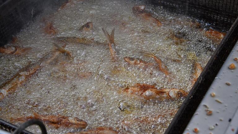 Im schwimmenden Fett werden die Meefischli goldbraun und knusprig. Übertreiben sollte man das heiße Bad aber nicht, weil das zarte Fleisch schnell austrocknet. Im schwimmenden Fett werden die Meefischli goldbraun und knusprig. Übertreiben sollte man das heiße Bad aber nicht, weil das zarte Fleisch schnell austrocknet.