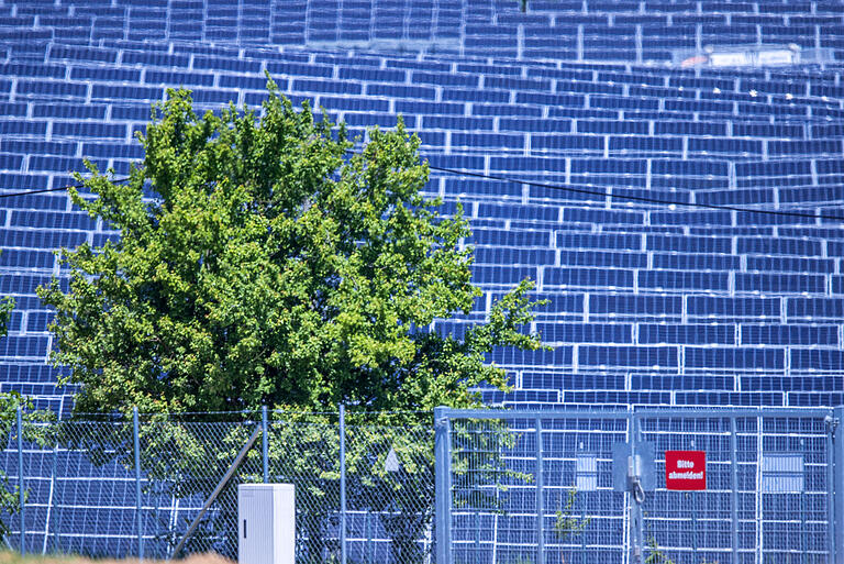 Die Grundlagenforschung für Photovoltaik-Anlagen, wie auf diesem Symbolbild, fand auch in Deutschland statt. Doch bei der Produktion haben andere Länder die Nase vorn, kritisiert Kampfmann. Die Grundlagenforschung für Photovoltaik-Anlagen, wie auf diesem Symbolbild, fand auch in Deutschland statt. Doch bei der Produktion haben andere Länder die Nase vorn, kritisiert Kampfmann.