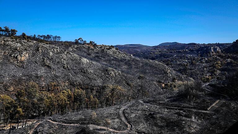 Nach dem Großbrand bei Athen       -  Griechenland wird in diesem Jahr von starken Waldbränden heimgesucht - die Schäden für Mensch und Natur sind groß. (Archivbild)