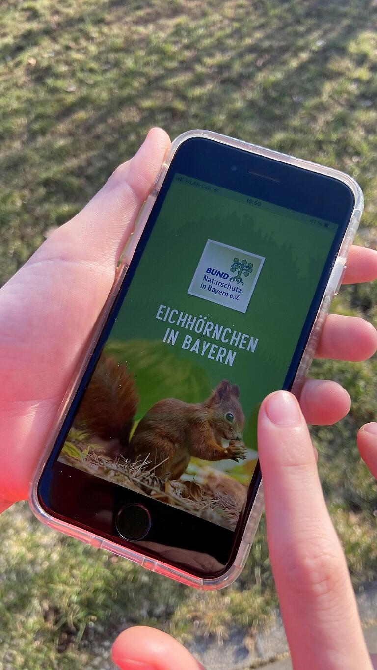 Die neue Eichhörnchen-App. Die neue Eichhörnchen-App.