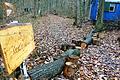 'Hier entsteht ein Raum für Kinder im Wald' steht auf dem Schild am Eingang zum künftigen zweiten Waldkindergarten im städtischen Mahlholz-Wald. Der Bauwagen dient als Übergangsbehausung bis die vorgesehene Wald-Jurte steht.