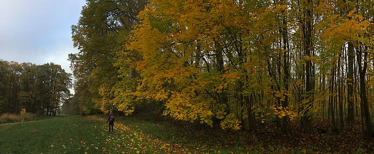 Farbenfrohes Vergnügen im Steigerwald: Auf den 'Traumrunden' wie hier bei Prichsenstadt ist der Wanderer allein mit der Natur. Farbenfrohes Vergnügen im Steigerwald: Auf den 'Traumrunden' wie hier bei Prichsenstadt ist der Wanderer allein mit der Natur.
