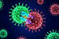 Die Mutationen des Coronavirus breiten sich  aus. Sie sind insgesamt ansteckender.&nbsp;