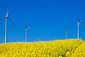 Genügend Platz für Windräder ist doch anscheinend da – warum also nicht gleich mit dem Bau beginnen? Ganz so einfach ist das nicht.&nbsp;