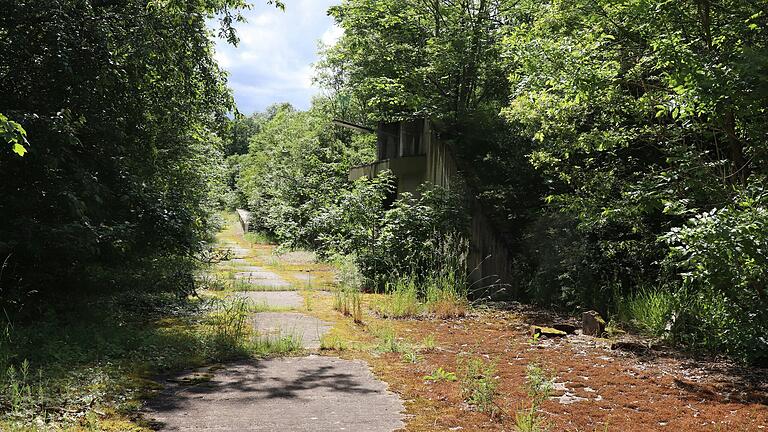 Einmal eine Schneise mitten durch den Wald geschlagen: Inzwischen hat sich die Natur weite Teile des Lagers zurückgeholt. Einmal eine Schneise mitten durch den Wald geschlagen: Inzwischen hat sich die Natur weite Teile des Lagers zurückgeholt.