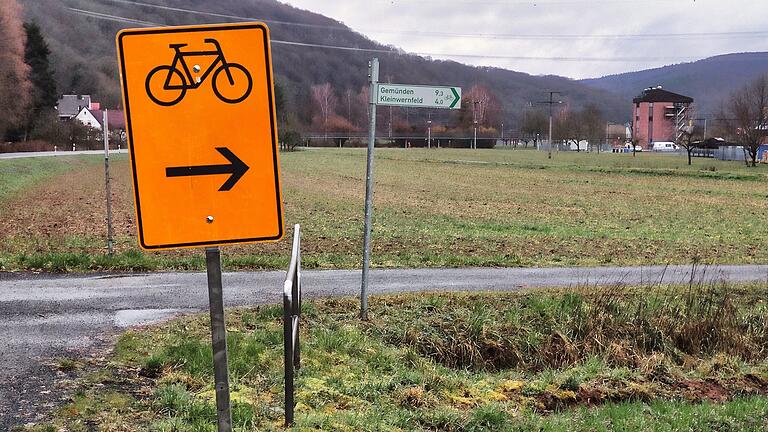 Ein Teil der Strecke wird wie bereits in den letzten Jahren über den Radweg auf der linksmainischen Seite führen. Ein Teil der Strecke wird wie bereits in den letzten Jahren über den Radweg auf der linksmainischen Seite führen.