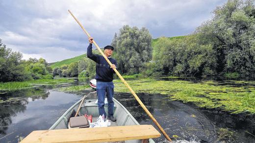 Handarbeit: Üppig gedeihen Wasserpflanzen in diesem Jahr in den Altwassern des Mains. Auf seinen Außenbordmotor muss Fischer Hubert Holl deshalb häufig verzichten. Handarbeit: Üppig gedeihen Wasserpflanzen in diesem Jahr in den Altwassern des Mains. Auf seinen Außenbordmotor muss Fischer Hubert Holl deshalb häufig verzichten.