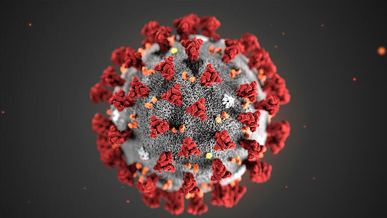 Das Coronavirus hat es derzeit schwer im Landkreis Haßberge. Die Sieben-Tage-Inzidenz lag am Dienstag bei 16,6 und somit ein ganzes Stück unter dem bayerischen Durchschnitt von 23,6. Das Coronavirus hat es derzeit schwer im Landkreis Haßberge. Die Sieben-Tage-Inzidenz lag am Dienstag bei 16,6 und somit ein ganzes Stück unter dem bayerischen Durchschnitt von 23,6.