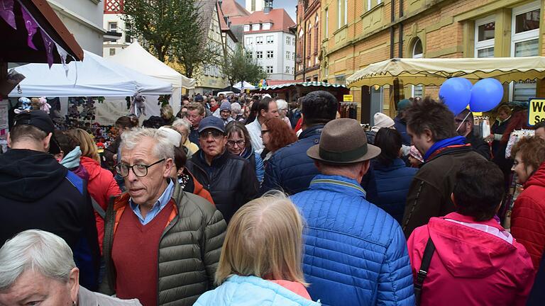 Dichtes Gedränge gab es beim diesjährigen Handwerkermarkt in der Innenstadt.