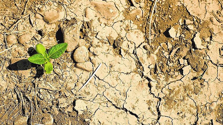 Trockenheit in Bayern - Geringe Niederschläge sorgen dafür, dass der Grundwasserspiegel sinkt. Verschärft wird das Problem durch das trockene Klima, wodurch noch mehr Wasser im Boden verdunstet. Trockenheit in Bayern - Geringe Niederschläge sorgen dafür, dass der Grundwasserspiegel sinkt. Verschärft wird das Problem durch das trockene Klima, wodurch noch mehr Wasser im Boden verdunstet.