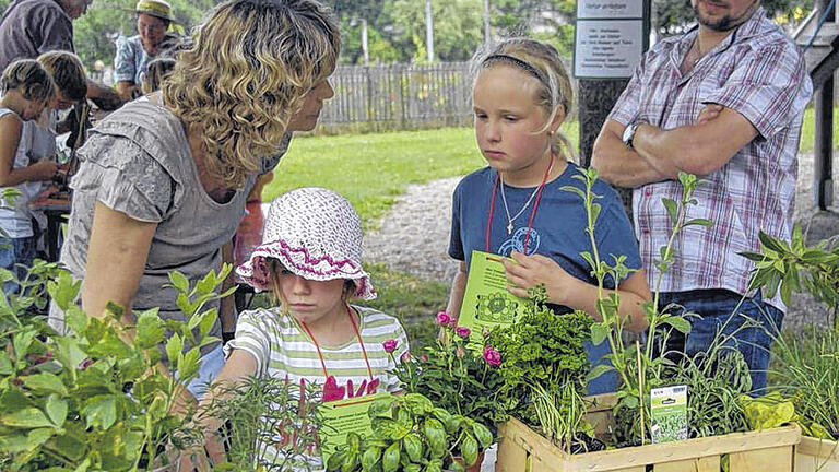 Erkennungsdienst: An einer Station bei der Himmelstadter Dorfgartenschau durften die Kinder raten, um welche Kräuter es sich handelt.