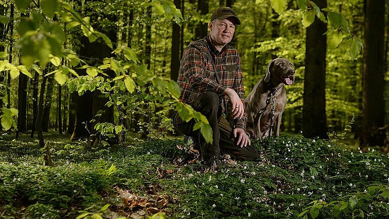 Mit Simon Abeln im Wald       -  Diplom-Forstwirt Simon Abeln mit seinem Weimaraner Ferdinand in einem Waldstück bei Bütthard. Der Bibergauer hat ein Buch geschrieben, in dem er 111 Gründe zusammenträgt, den hiesigen Wald zu lieben.