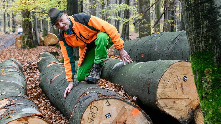 'Ganz schön dreist': Volkmar Zankl, Holzbetriebschef des Forstamts Rothenbuch, vermutet, dass der&nbsp; Diebstahl ganzer Buchenstämme aus dem Spessart nachts passierte - mit schwerem Gerät und in großem Stil.