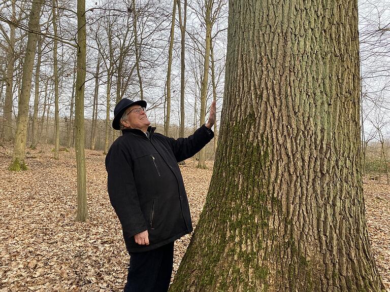 Der Ehrenpräsident des Bund Naturschutz, Hubert Weiger (hier an einer 200 Jahre alten Eiche im Stettholz), wirft der Bundespolitik beim Verkehrsausbau Verfassungsbruch vor. Der Ehrenpräsident des Bund Naturschutz, Hubert Weiger (hier an einer 200 Jahre alten Eiche im Stettholz), wirft der Bundespolitik beim Verkehrsausbau Verfassungsbruch vor.