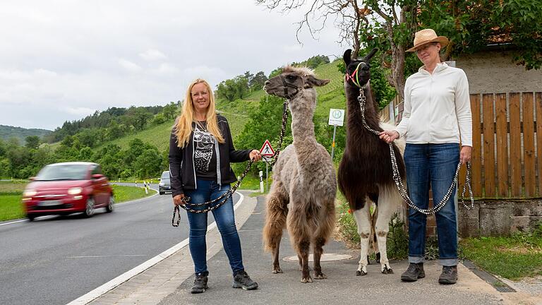 Kerstin Sprott (links) betreibt eine Lama Ranch außerhalb von Retzstadt im Landkreis Main-Spessart. Seit Jahren nervt sie der Verkehrslärm. Mit auf dem Bild: Helferin Claudia Wenzel und die Lamas Fifty Fifty und Samson.