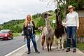 Kerstin Sprott (links) betreibt eine Lama Ranch außerhalb von Retzstadt im Landkreis Main-Spessart. Seit Jahren nervt sie der Verkehrslärm. Mit auf dem Bild: Helferin Claudia Wenzel und die Lamas Fifty Fifty und Samson.