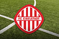 FC Eibelstadt Logo