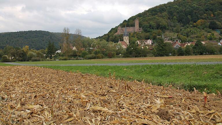 Gegenüber der Gemündener Altstadt siedelten in der Steinzeit und Eisenzeit nicht nur Menschen, hier liegt auch ein geplantes Vorranggebiet für den Abbau von Sand und Kies. Gegenüber der Gemündener Altstadt siedelten in der Steinzeit und Eisenzeit nicht nur Menschen, hier liegt auch ein geplantes Vorranggebiet für den Abbau von Sand und Kies.