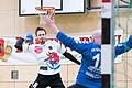 Handball TG Heidingsfeld	- HSV Hochfranken       -  Felix Maier (am Ball) von der TG Heidingsfeld war gegen den HSV Hochfranken (im Tor Michanek, Vladimir) mit fünf Treffern erfolgreich.