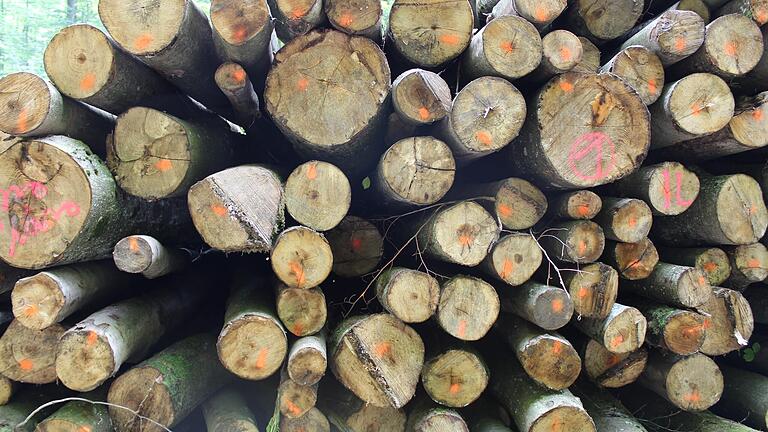 Besonders wichtig ist dem Bauernverband, dass die Holzrechte durch ein Biosphärenreservat nicht eingeschränkt werden. (Symbolbild)