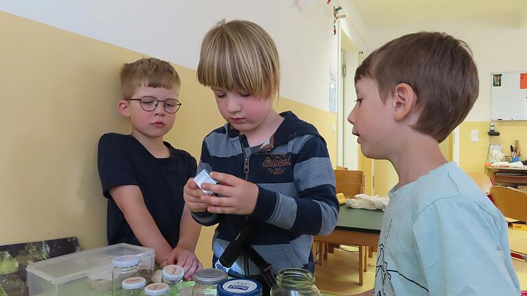 Kinder betrachten Mineralien mit dem digitalen Mikroskop.