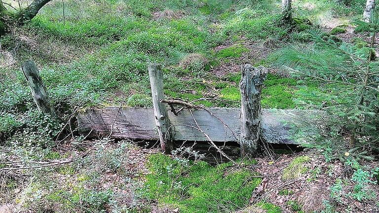 Im Schwarzen Moor wollen die Helfer vom Bergwaldprojekt in dieser Woche Querbauwerke sanieren, die für den Rückhalt des Wassers sorgen.