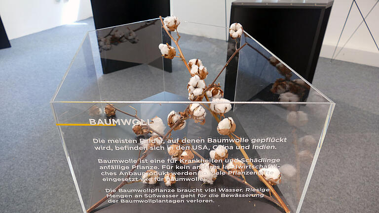Baumwolle wird vor allem in den USA, China und Indien angebaut und benötigt für das Wachstum viel Wasser. Darüber hinaus werden zahlreiche Pflanzengifte eingesetzt zur Krankheits- sowie Schädlingsabwehr.