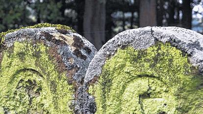 Verwitterte Grabsteine: Hier ist nichts mehr zu retten.FOTO: Beate Dahinten