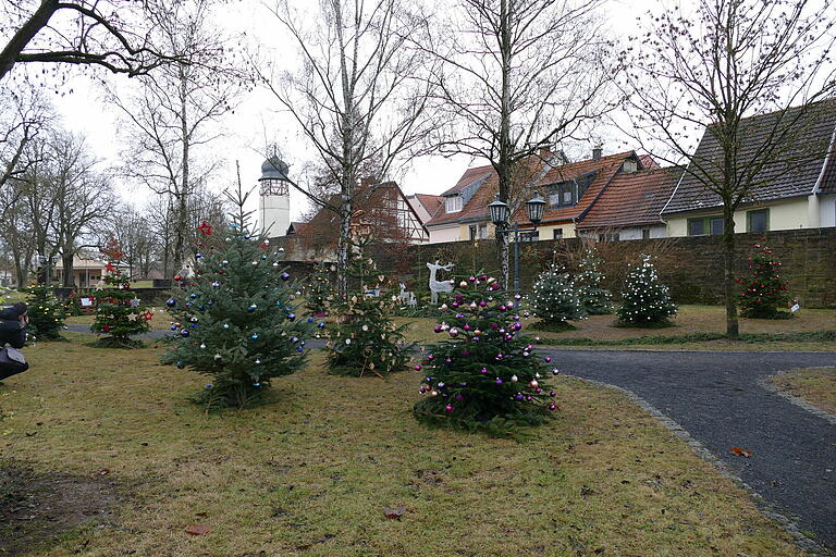 Ein buntes Bild: die Grundschüler haben ganze Arbeit geleistet und die vielen Christbäume im Stadtpark mit vielfarbigen Kugeln behängt. Und über allem wacht der Bürgerturm Ein buntes Bild: die Grundschüler haben ganze Arbeit geleistet und die vielen Christbäume im Stadtpark mit vielfarbigen Kugeln behängt. Und über allem wacht der Bürgerturm