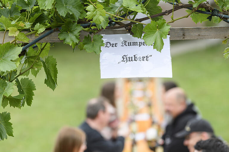 Im Biergarten der Schoppen-Scheune in Marktheidenfeld steht der 15 Meter lange Kumpeltisch 'Hubert'. Gastwirt Achim Hospes hat den Tisch als Reaktion auf die verwirrende Aussagen von Hubert Aiwanger zu den Abstandsregeln in Biergärten eingerichtet.