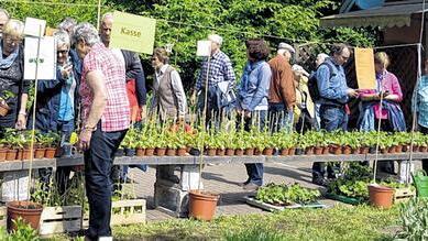 Aufgereiht: Pflänzchen reihte sich an Pflänzchen und Besucher an Besucher.