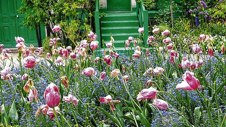 Farbenprächtig: Der Garten von Claude Monet in Giverny. Der Maler hat hier von 1883 bis zu seinem Tod 1926 gelebt.