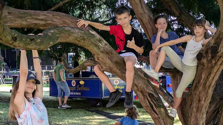 Während die jüngeren Geschwister bastelten, eroberten die älteren Kids den Kletterbaum.       -  Während die jüngeren Geschwister bastelten, eroberten die älteren Kids den Kletterbaum.