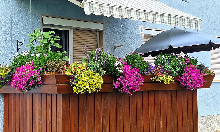 1. Platz in der Kategorie 'Kleiner Blumenschmuck': Doris Schwitkowski 1. Platz in der Kategorie 'Kleiner Blumenschmuck': Doris Schwitkowski