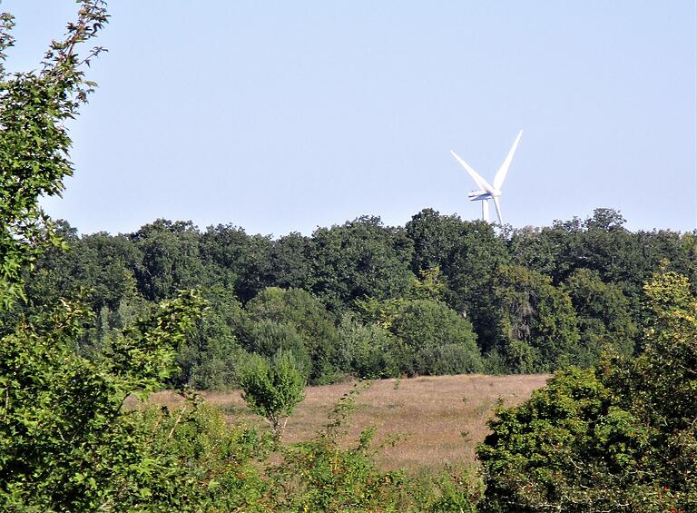 Das Windrad bei Pfändhausen über dem Brönnhof-Wald.