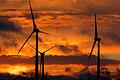 Im Roßbacher Forst wird es keinen Windpark geben. Das Bild zeigt Windräder in Mecklenburg Vorpommern. Foto: Jens Büttner/dpa       -  Im Roßbacher Forst wird es keinen Windpark geben. Das Bild zeigt Windräder in Mecklenburg Vorpommern. Foto: Jens Büttner/dpa