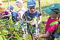 Die Vielfalt der Streuobstwiese       -  (gab)   Karl-Heinz Müller, Vorsitzender des Obst- und Gartenbauvereins Laudenbach, besuchte mit dem Kindergarten Laudenbach die Streuobstwiese am Schneeberg. Dort durften die Kinder Beeren, Kern- und Steinobst selbst ernten und probieren, teilt der Verein der Presse mit. Das Pflücken am Brombeerstrauch war einfach und ohne Hilfe zu schaffen (Bild). Anders war es bei der Apfelernte, da war Teamarbeit gefragt. Müller hob ein Kind in die Baumkrone, das die Äpfel pflückte und fallen ließ, die anderen Kinder fingen sie mit Mützen auf. Müller erklärte den Kindern den Unterschied zwischen Beeren-, Kern- und Steinobst. Doch die Verlockung der süßen Früchte gewann die Oberhand über die Aufmerksamkeit. Besonders lecker waren die reifen, süßen Mirabellen, die Kinder verspeisten aber auch Wildpflaumen und Pflaumen.