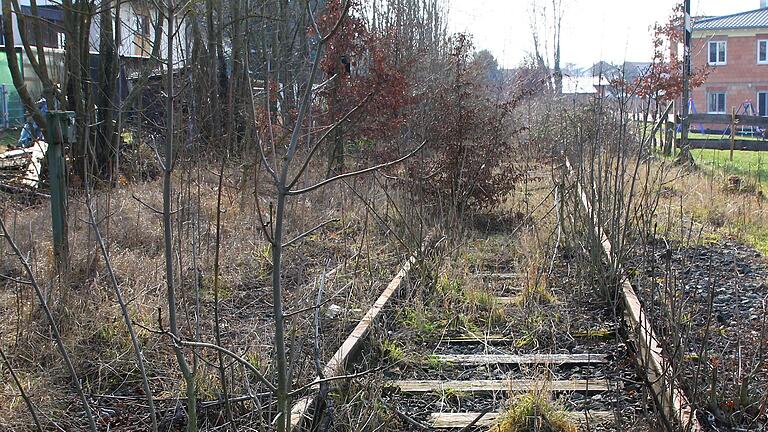 In den kommenden Tagen wird in den Kreistagen von Kitzingen und Schweinfurt wieder über Strecke der Steigerwaldbahn diskutiert. Im Bild die Trasse bei Wiesentheid.