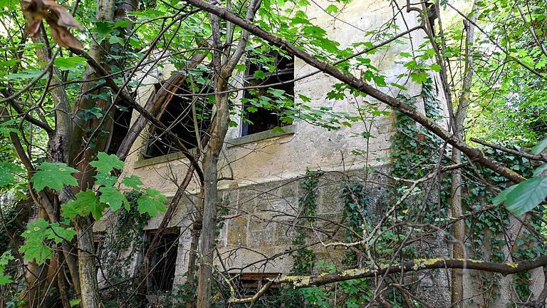 Bis zum Zweiten Weltkrieg war der Beer'sche Felsenkeller ein großer Gastronomiebetrieb mit Biergarten. Bis zum Zweiten Weltkrieg war der Beer'sche Felsenkeller ein großer Gastronomiebetrieb mit Biergarten. 