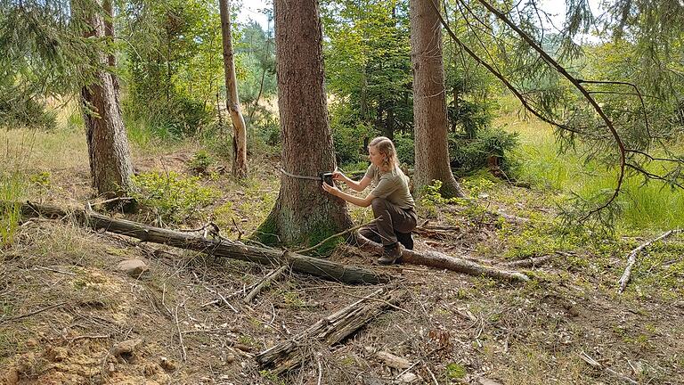 Amelie Nöth ist seit 2020 Rangerin beim Verein Naturpark &amp; Biosphärenreservat Bayerische Rhön.